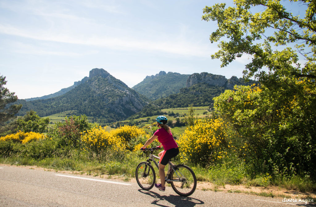 La Provence à vélo un itinéraire au cœur de ses paysages bucoliques