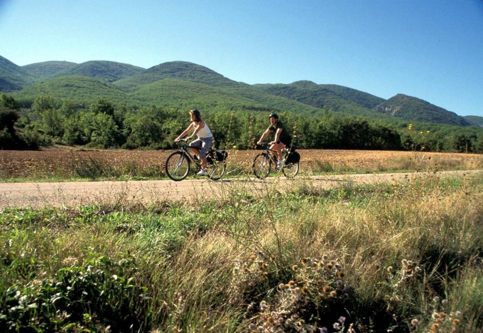 La Provence à vélo un itinéraire au cœur de ses paysages bucoliques