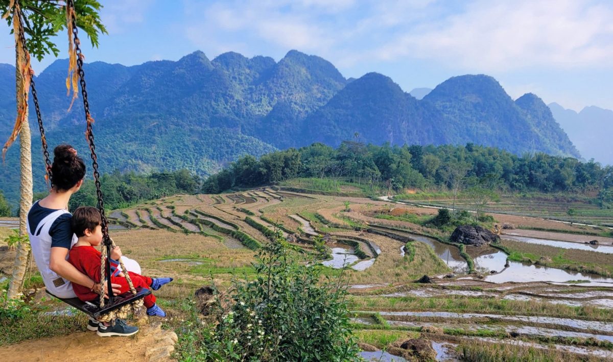 A person sitting on a rock overlooking a rice field Description automatically generated